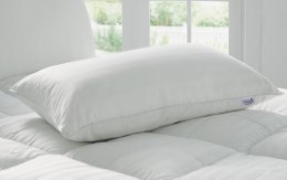 Story@Home Premium Microfibre Pillow - 16"x24", White